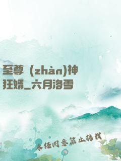 至尊戰(zhàn)神狂婿
