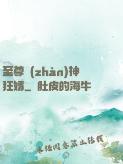至尊戰(zhàn)神狂婿
