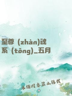 至尊戰(zhàn)魂系統(tǒng)
