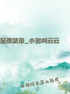 至尊武帝