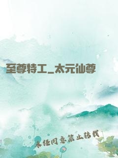 至尊特工