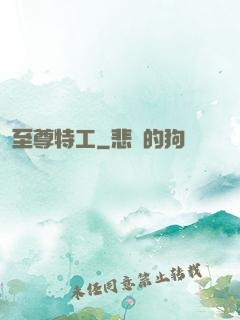 至尊特工