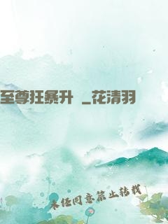至尊狂暴升級