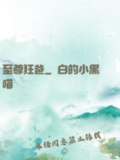 至尊狂爸