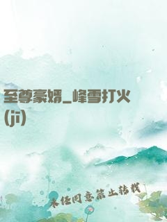 至尊豪婿