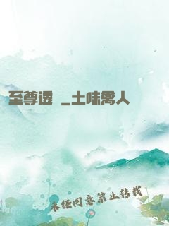 至尊透視