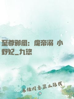 至尊邪凰：魔帝溺寵小野妃