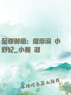 至尊邪凰：魔帝溺寵小野妃