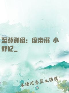 至尊邪凰：魔帝溺寵小野妃