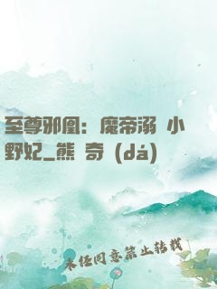 至尊邪凰：魔帝溺寵小野妃
