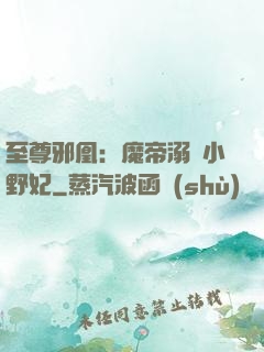 至尊邪凰：魔帝溺寵小野妃