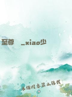 至尊龍帥