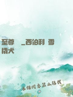 至尊龍帥