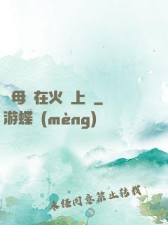 與母親在火車上鋪