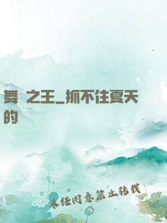 舞臺之王