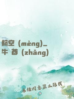 航空夢(mèng)