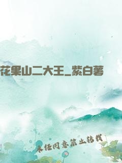 花果山二大王