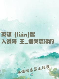 英雄聯(lián)盟入侵海賊王