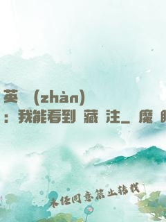 英靈戰(zhàn)爭：我能看到隱藏備注