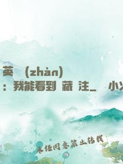 英靈戰(zhàn)爭：我能看到隱藏備注