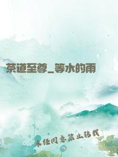 茶道至尊
