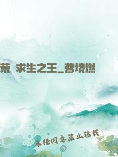 荒島求生之王