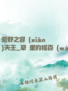 荒野之冒險(xiǎn)天王