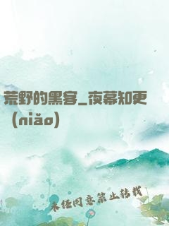 荒野的黑客