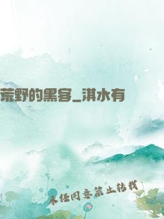 荒野的黑客