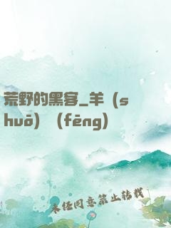 荒野的黑客