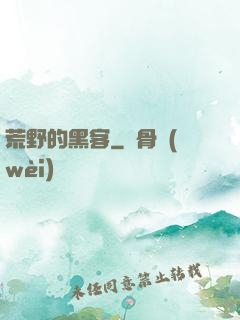荒野的黑客