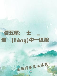 華夏五星：國士無雙