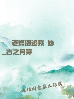華娛從老婆倒追我開始