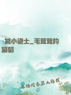 萬能小道士