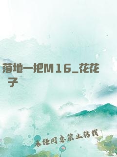 落地一把M16