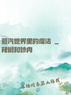 蒸汽世界里的魔法師