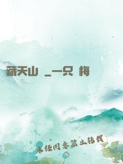 藏天山莊