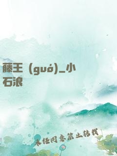 藤王國(guó)