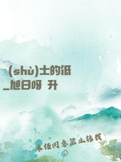 術(shù)士的低語