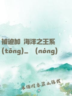 被迫加載海洋之王系統(tǒng)