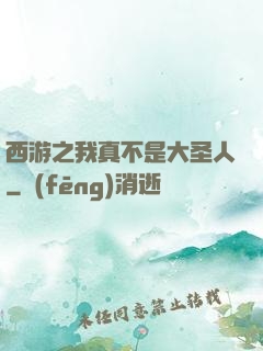 西游之我真不是大圣人