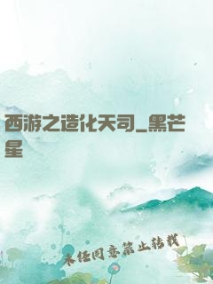 西游之造化天司