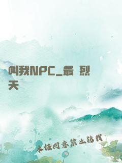 請叫我NPC