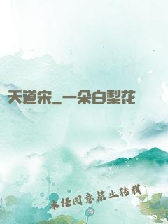 諸天道宋