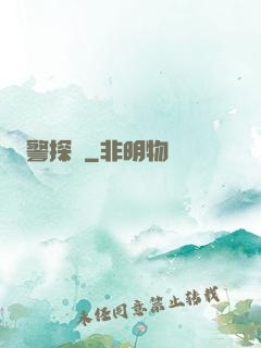 警探長