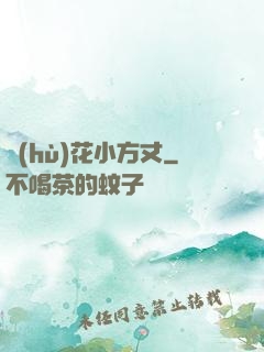 護(hù)花小方丈