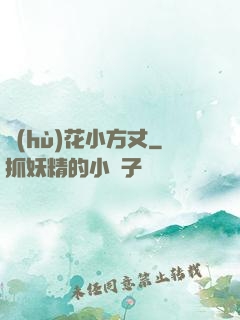 護(hù)花小方丈