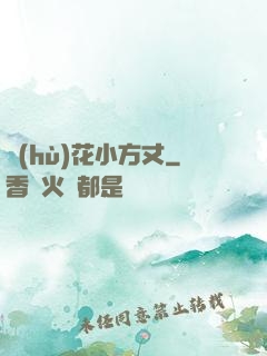 護(hù)花小方丈