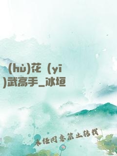 護(hù)花醫(yī)武高手