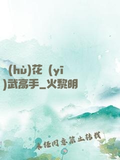 護(hù)花醫(yī)武高手